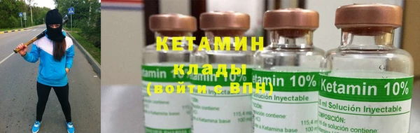 прущие грибы Ельня