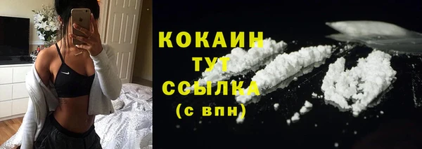 прущие грибы Ельня