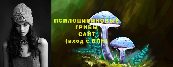 прущие грибы Ельня