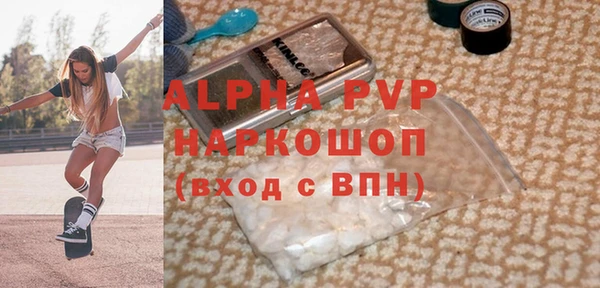 прущие грибы Ельня