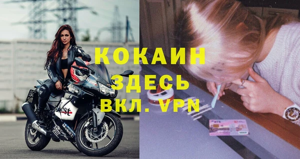 мяу мяу мука Дмитриев