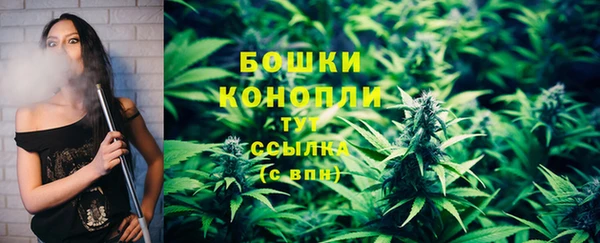 mdpv Елабуга