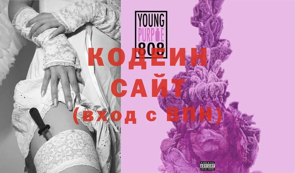 прущие грибы Ельня