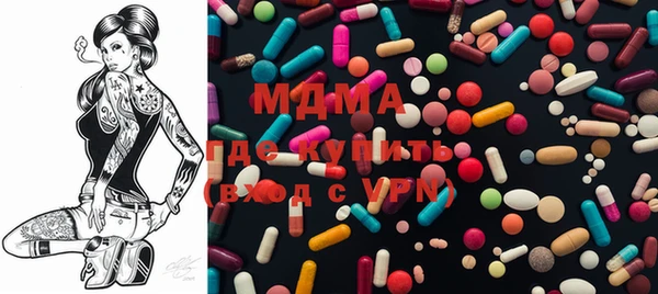 прущие грибы Ельня
