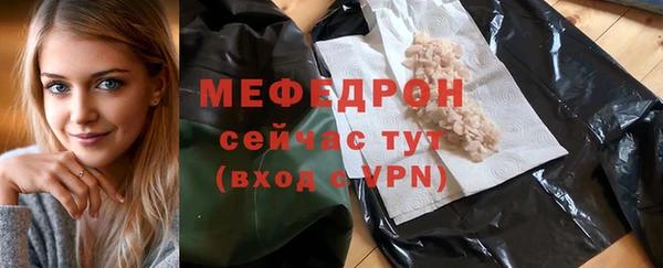 прущие грибы Ельня