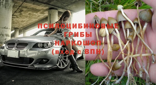 дживик Дмитровск