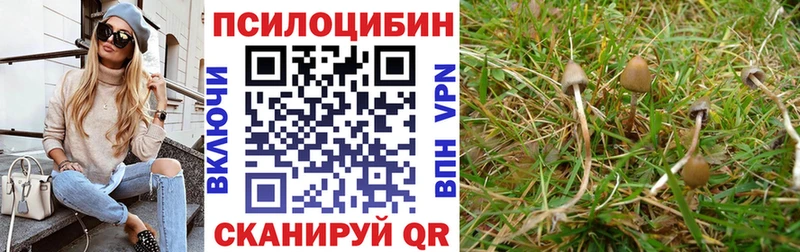 дарк нет наркотические препараты  Чекалин  Галлюциногенные грибы MAGIC MUSHROOMS 